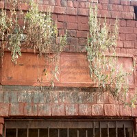 Gurmukhi Script on the side wall of Gurdawara